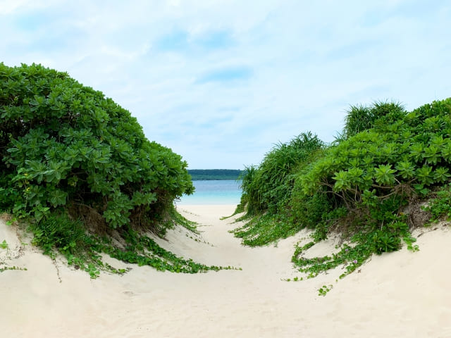 前浜ビーチ